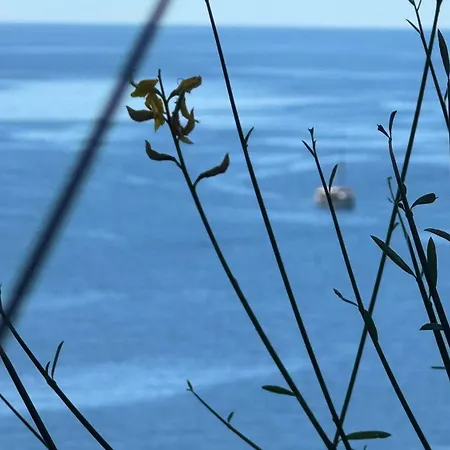 Jednokrevetna Soba Sa Balkonom Daire *